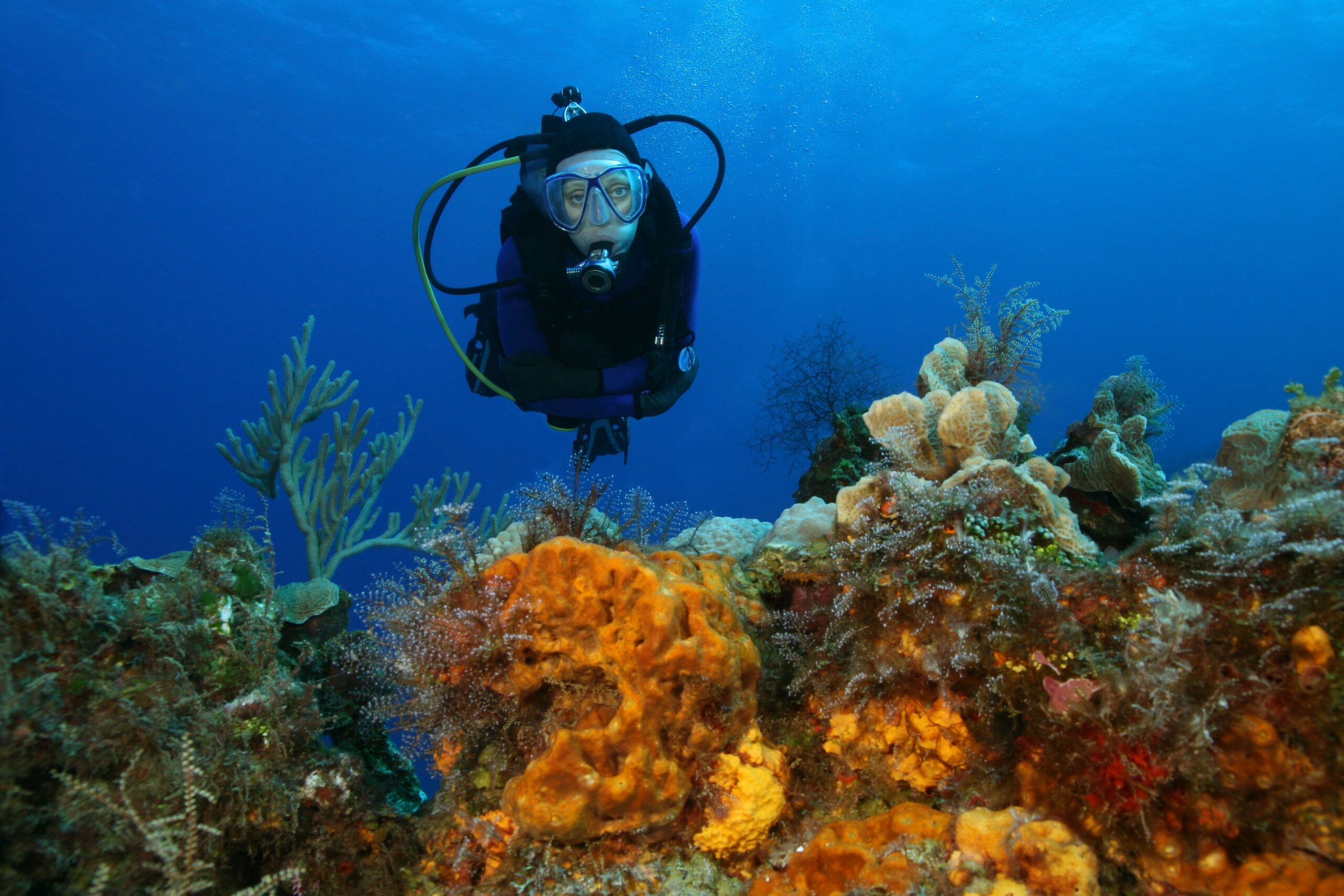 woman scuba diving over a coral reef 22869670 min 1 scaled